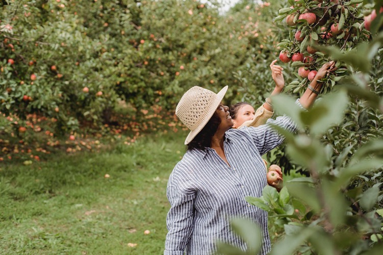 Two women apple picking at a farm.