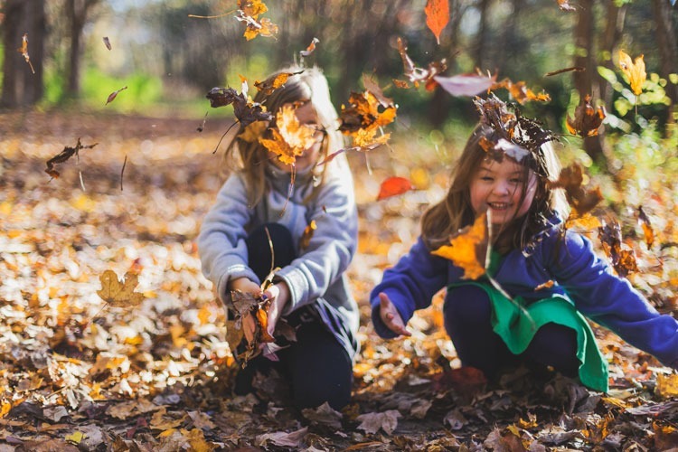Two children playing in the fall leaves.