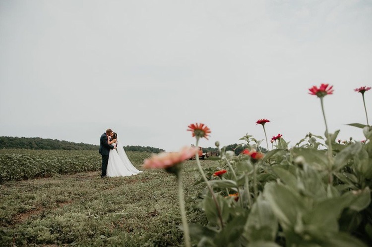 newly married couple standing in field at barn wedding