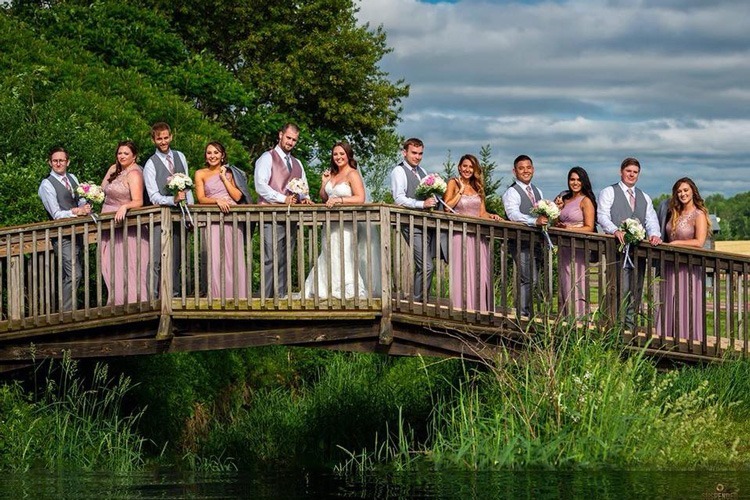 Wedding party standing on bridge over small stream surrounded by green meadows