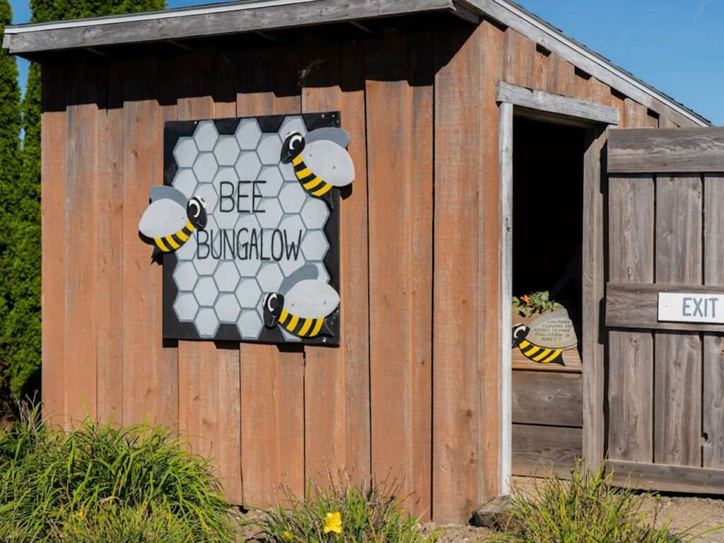 Bee Bungalow