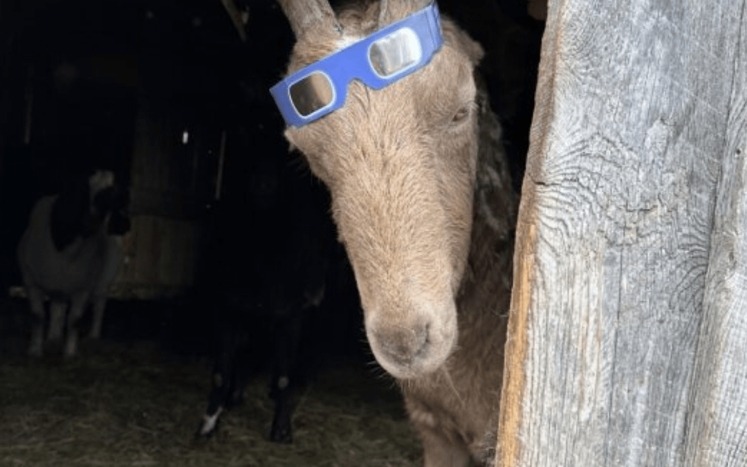 Total Eclipse On The Farm – Erie, Pennsylvania  