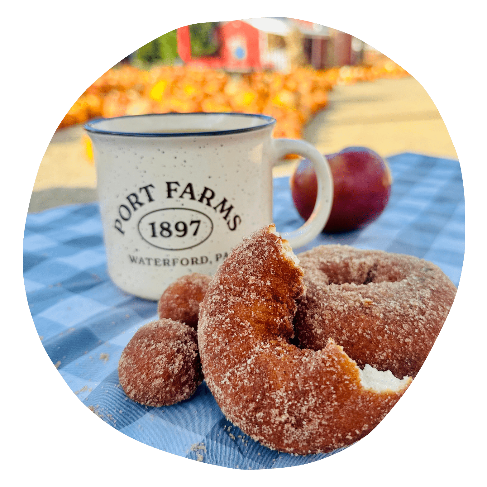 Donuts, a coffee mug, and an apple on a picnic table.